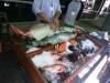 Album: 2012/07/13 - Seafood Fair