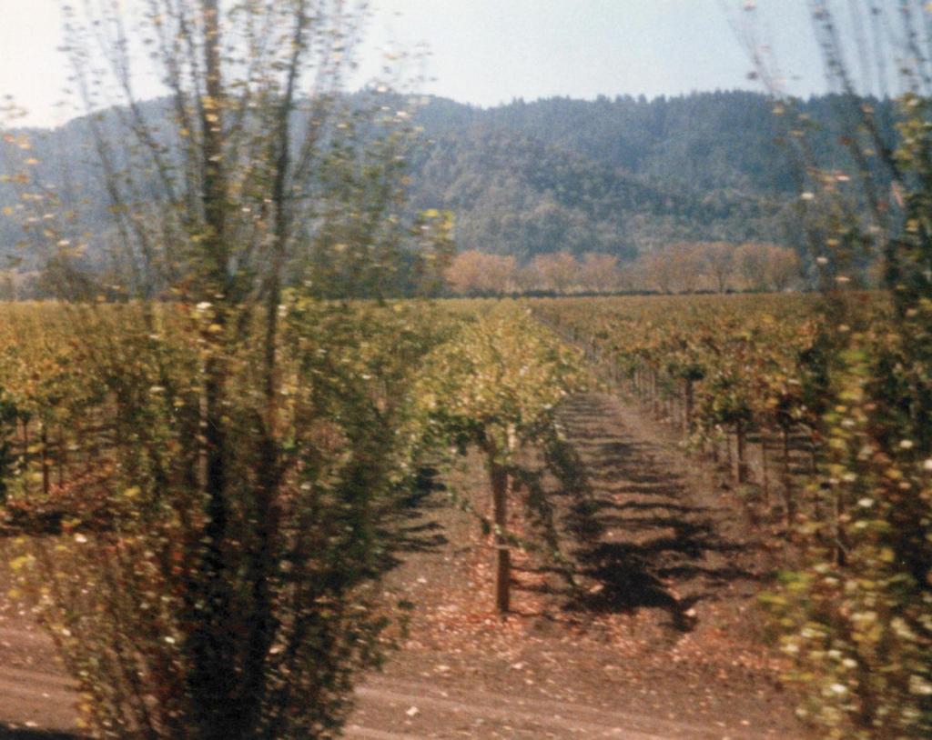 143 - Napa WineTrain